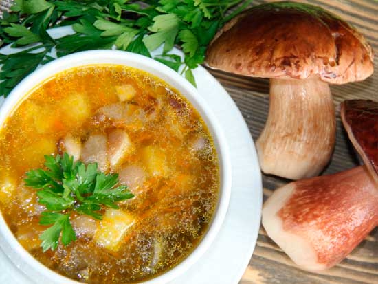 классический суп из белых грибов