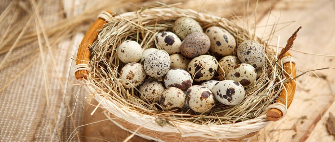 Домашний майонез на перепелиных яйцах 