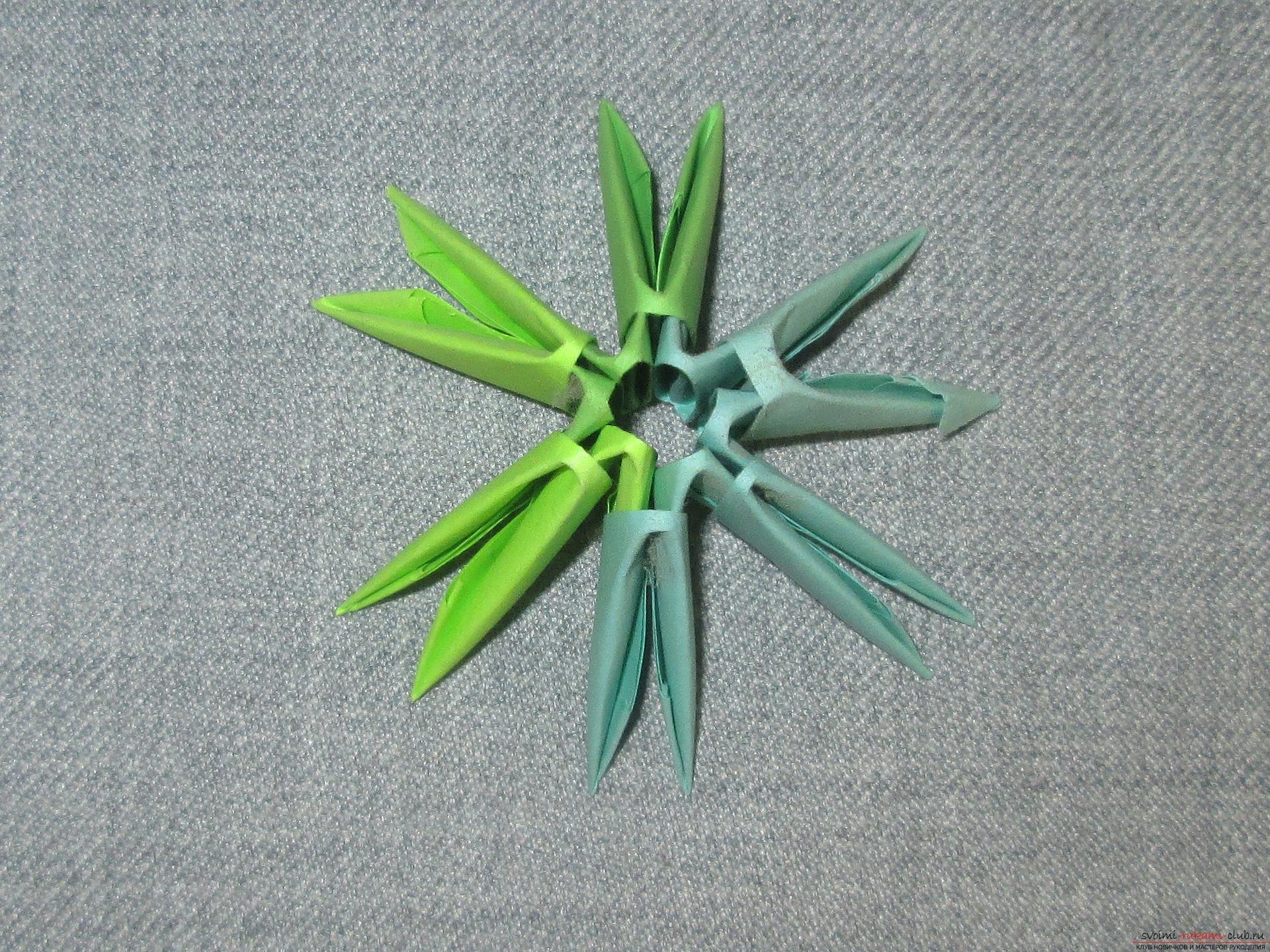 Данный подробный мастер-класс модульного оригами с пошаговыми фото содержит схему сборки березы из бумаги.. Фото №13