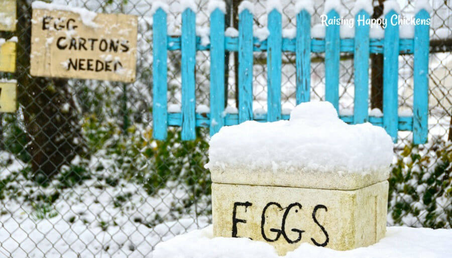 A box of eggs standing in snow.